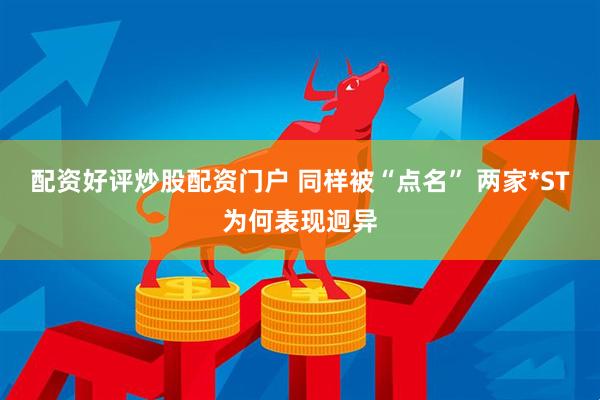 配资好评炒股配资门户 同样被“点名” 两家*ST为何表现迥异