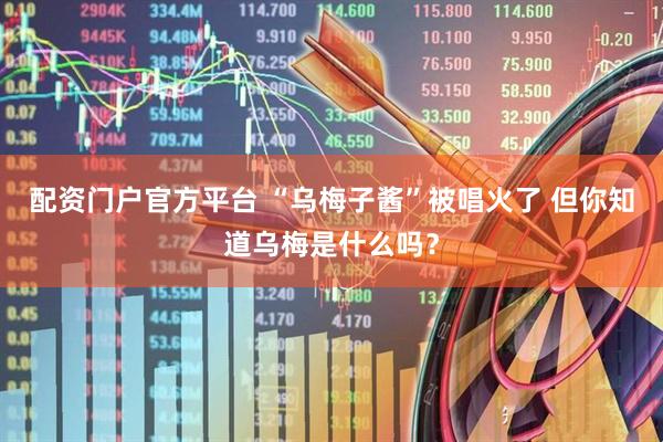 配资门户官方平台 “乌梅子酱”被唱火了 但你知道乌梅是什么吗？